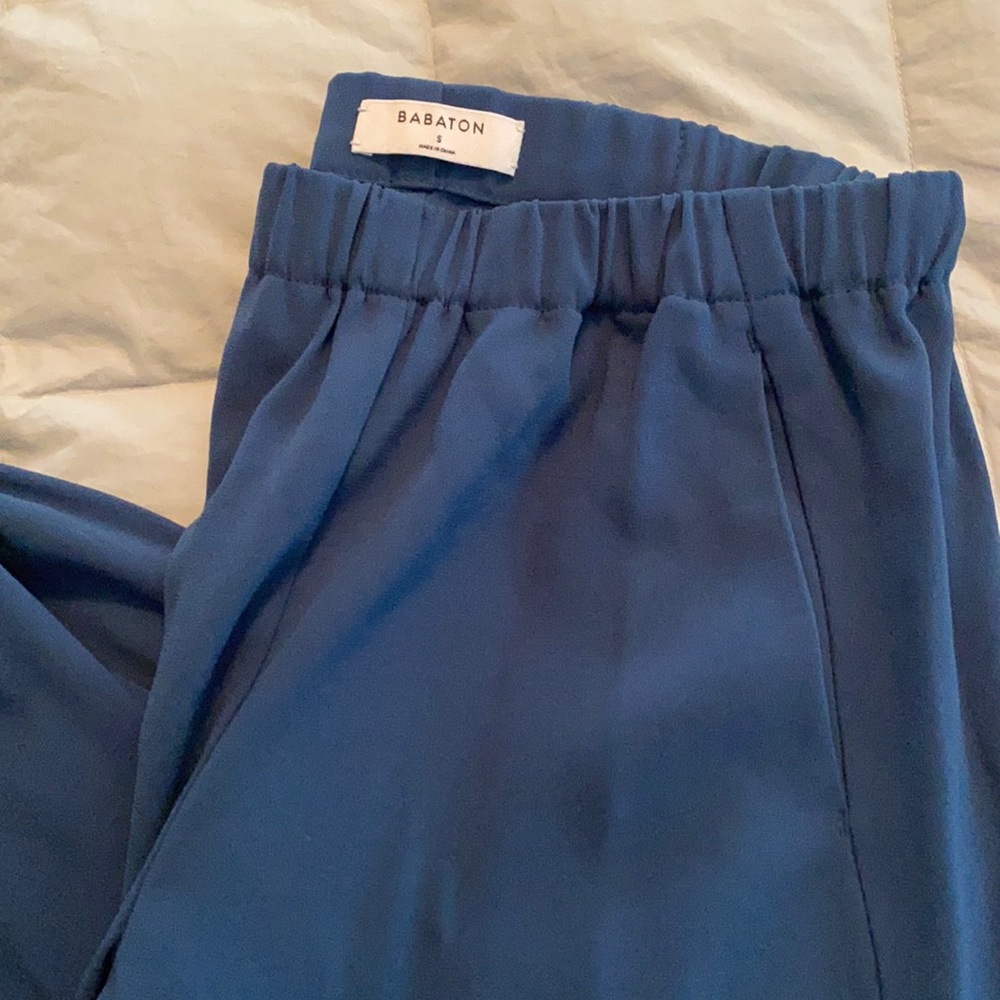 Babaton Dexter pants